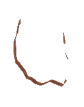 Wall Crumbled Brick