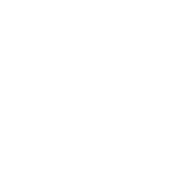 Dog Treat