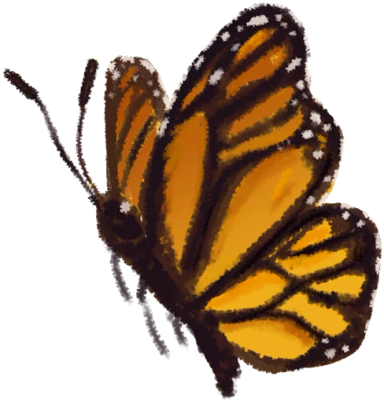Butterflies Orange