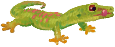 Green Gecko
