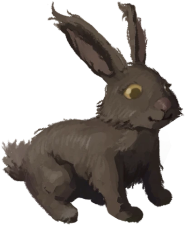 Black Rabbit