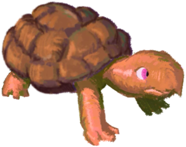 Turtle Orange