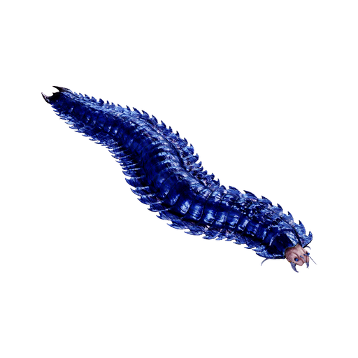 Arthropluera