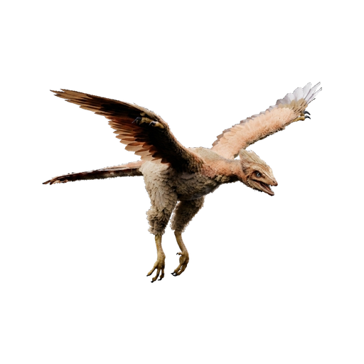 Archaeopteryx