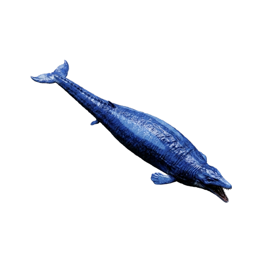Basilosaurus