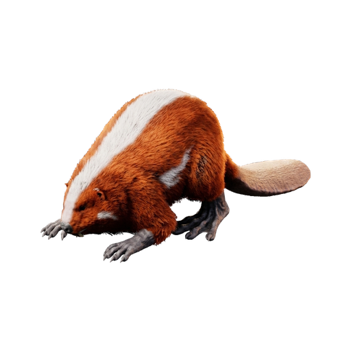 Castoroides