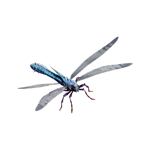 Meganeura