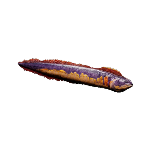 Electrophorus
