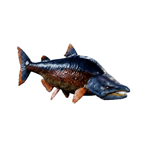 X-Sabertooth Salmon