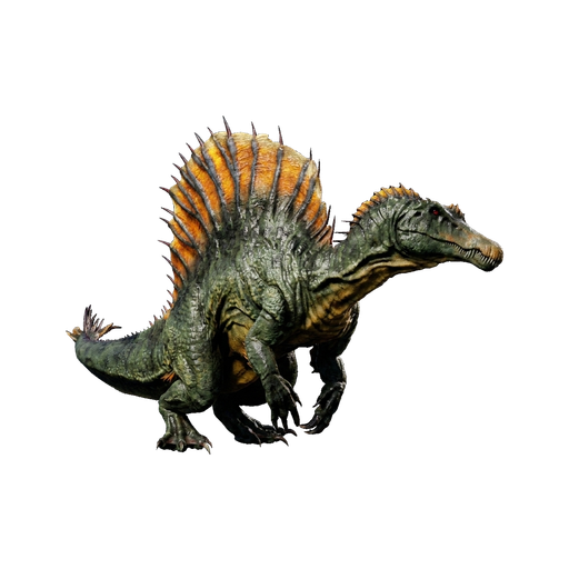 Spino