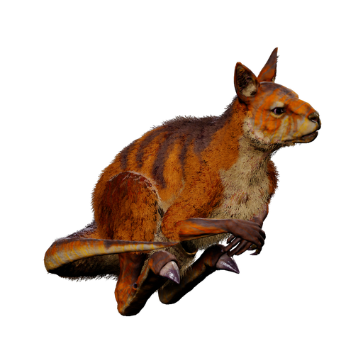 Procoptodon