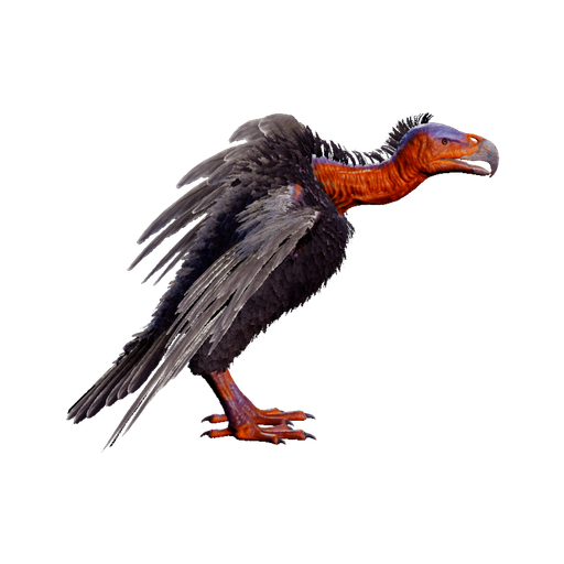 Vulture