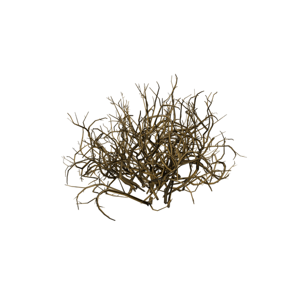 Nodo de Semilla de baya cian - BriarBush Cluster SM