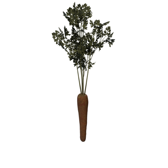Karotte-Vorkommen - CarrotLarge SM