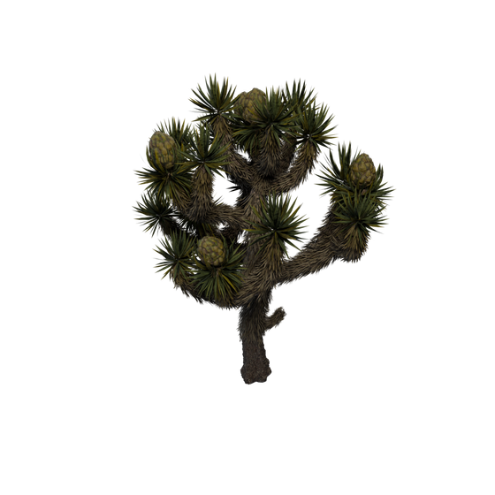 Sap node - JoshuaTree SM