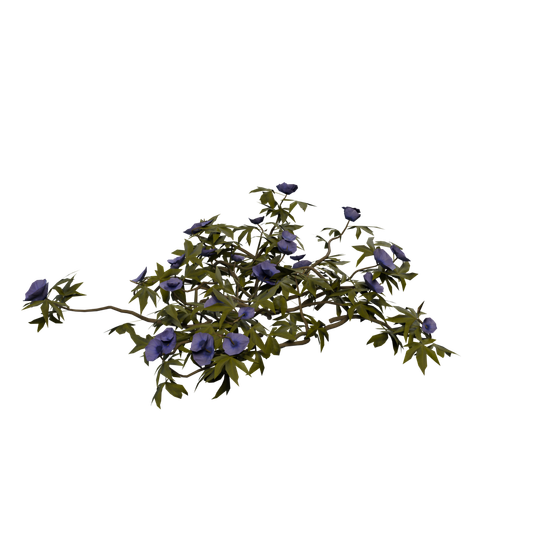 Plant Species Y Seed node - PurpleMat