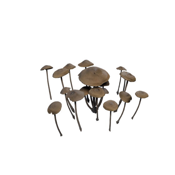 Aggeravic Mushroom node - MushroomA