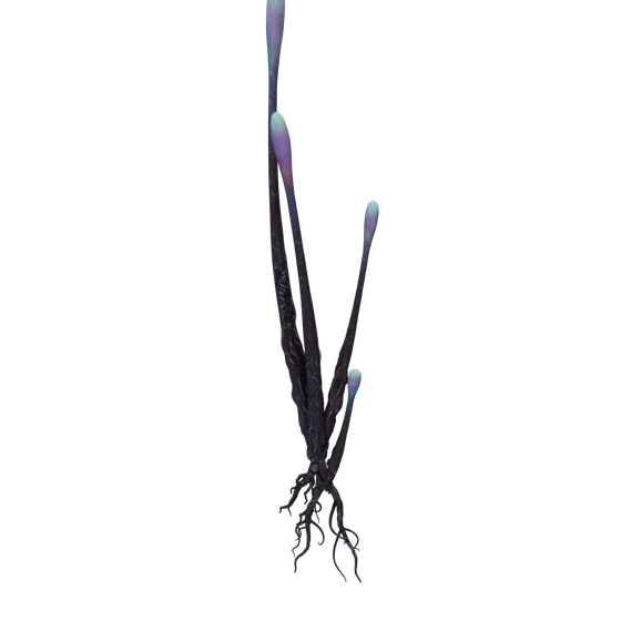 Gewöhnlicher Pilz-Vorkommen - ToxicAngler C