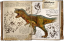 Carnotaurus