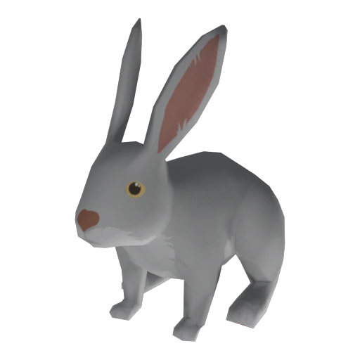 White Rabbit