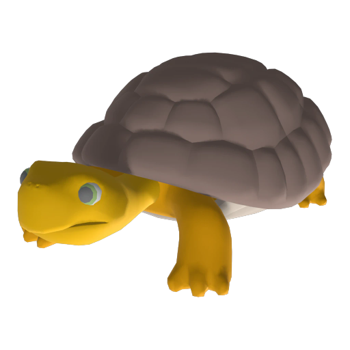 Turtle Orange