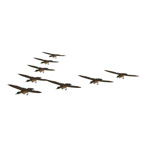 Migrating Ducks