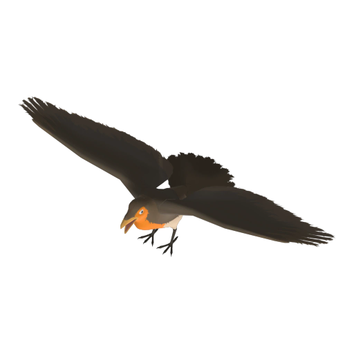 Oakrobin