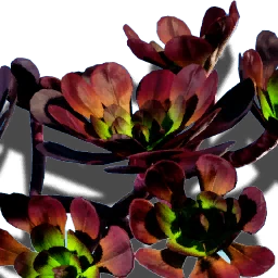 Hoja de orco