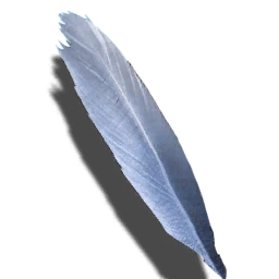 Pióro