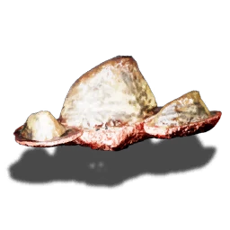 Squama d’osso