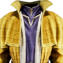 Judge's Robe