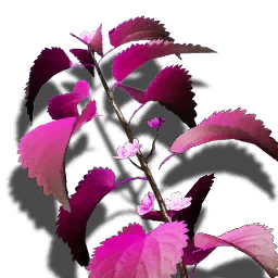 Trollbane Nettle