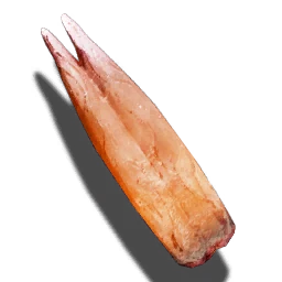 火蜥蜴的舌