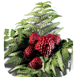 Waldbeeren