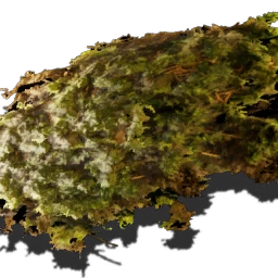 산 이끼