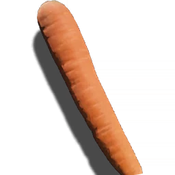 Carrot