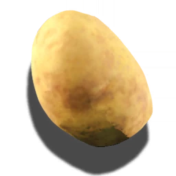 Potato
