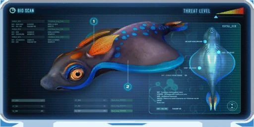 Rabbit Ray