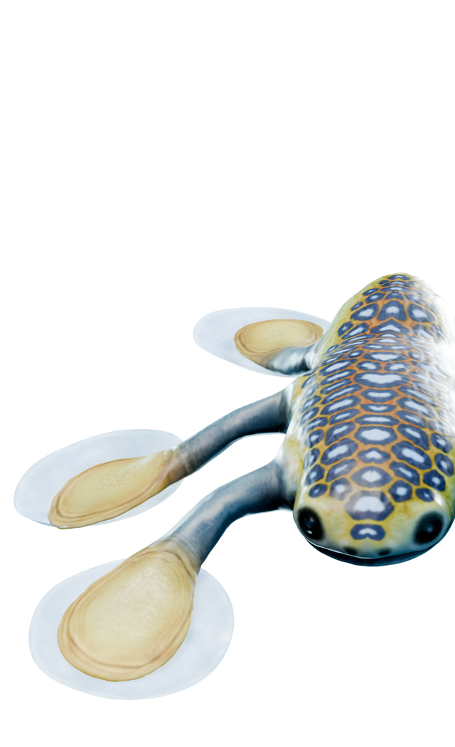 Hoverfish