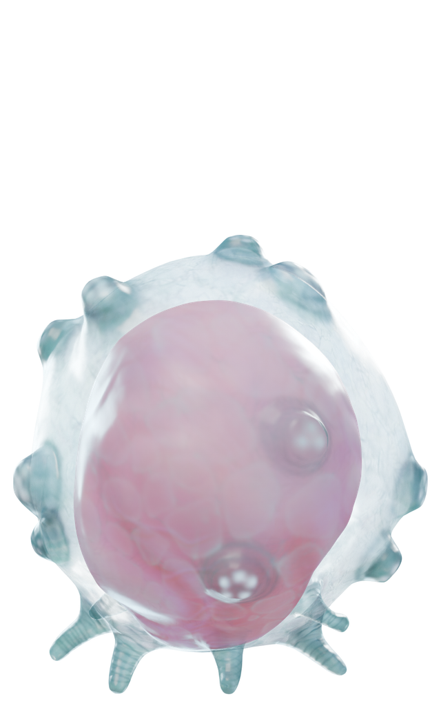 漂浮者