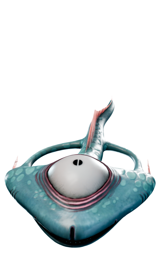 Spatenfisch