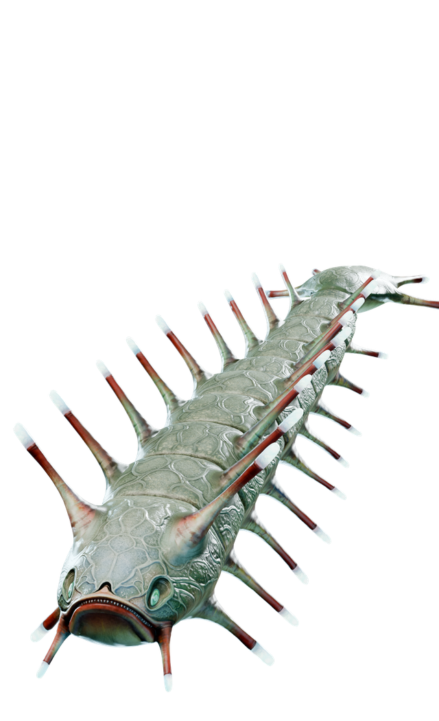 Ampér