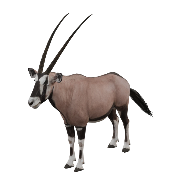 Spießbock
