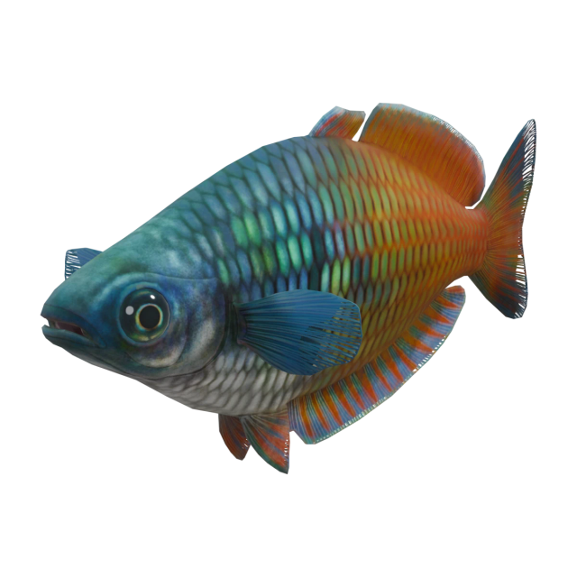 Arc-en-ciel de Boeseman