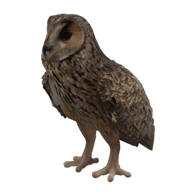 Waldohreule