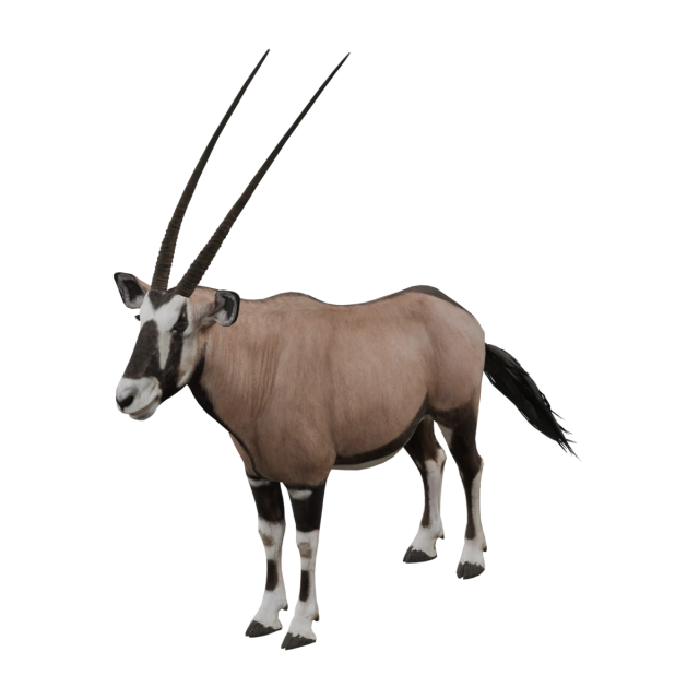 Spießbock