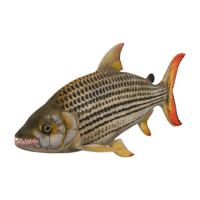 Tigersalmler