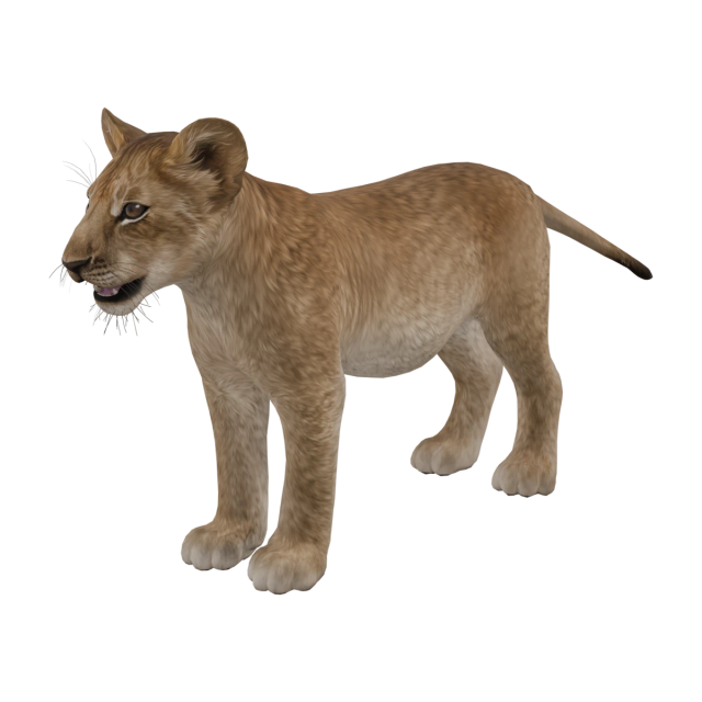 Löwe