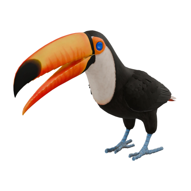 Toucan toco