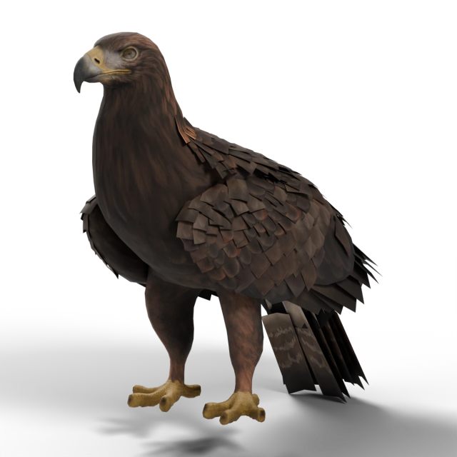 Steinadler